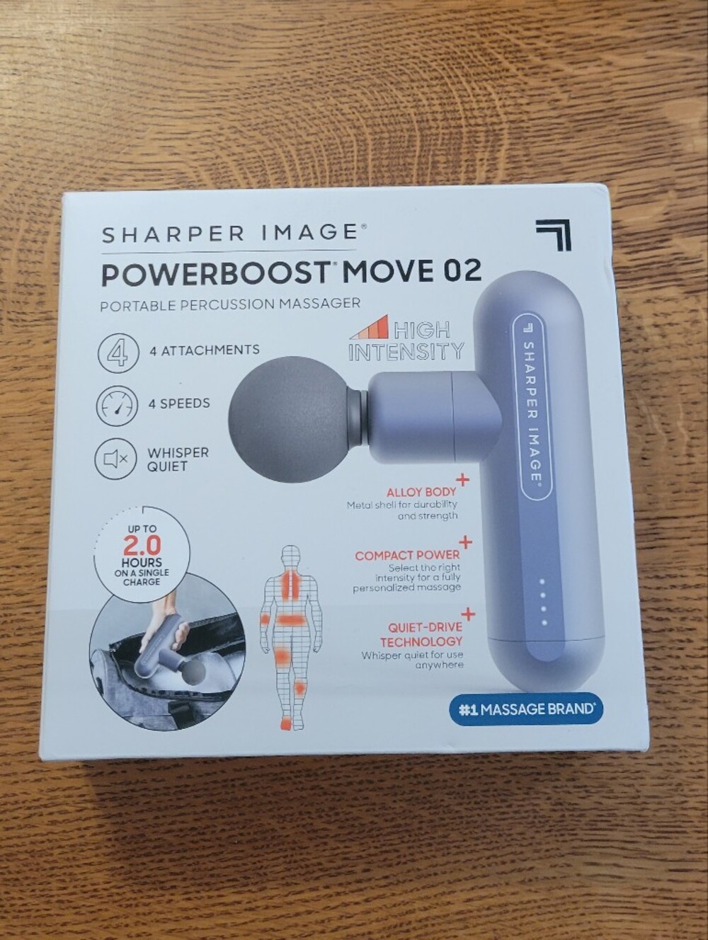 Sharper Image PowerBoost Move 02 - grey